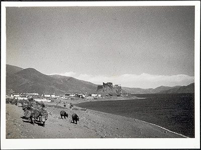 Pede dzong fortress and laden animals