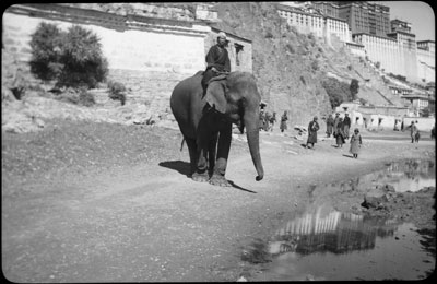 13th Dalai Lama's elephant outside Potala