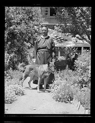 Tsarong Dazang Damdul in garden with dog