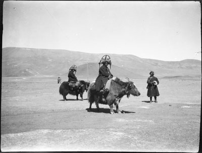 Women riding yaks across plain