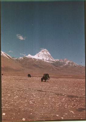 Chomolhari from near Phari Dzong near the Tang La Pass