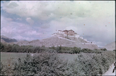 Potala from the west