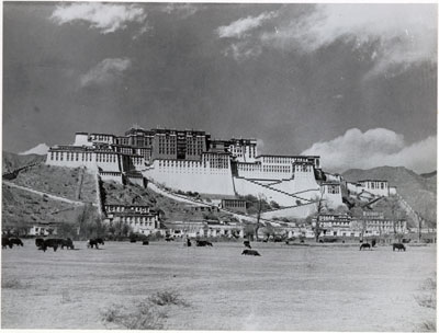 Potala with yaks in foreground