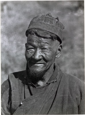 Tibetan shepherd