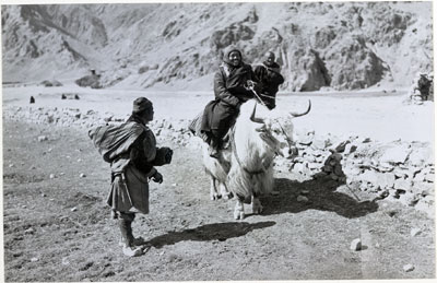 Lama riding white yak