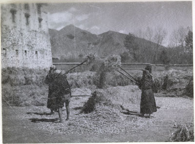 Winnowing grain in Lhasa