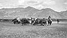Northern nomads arriving at Lhasa