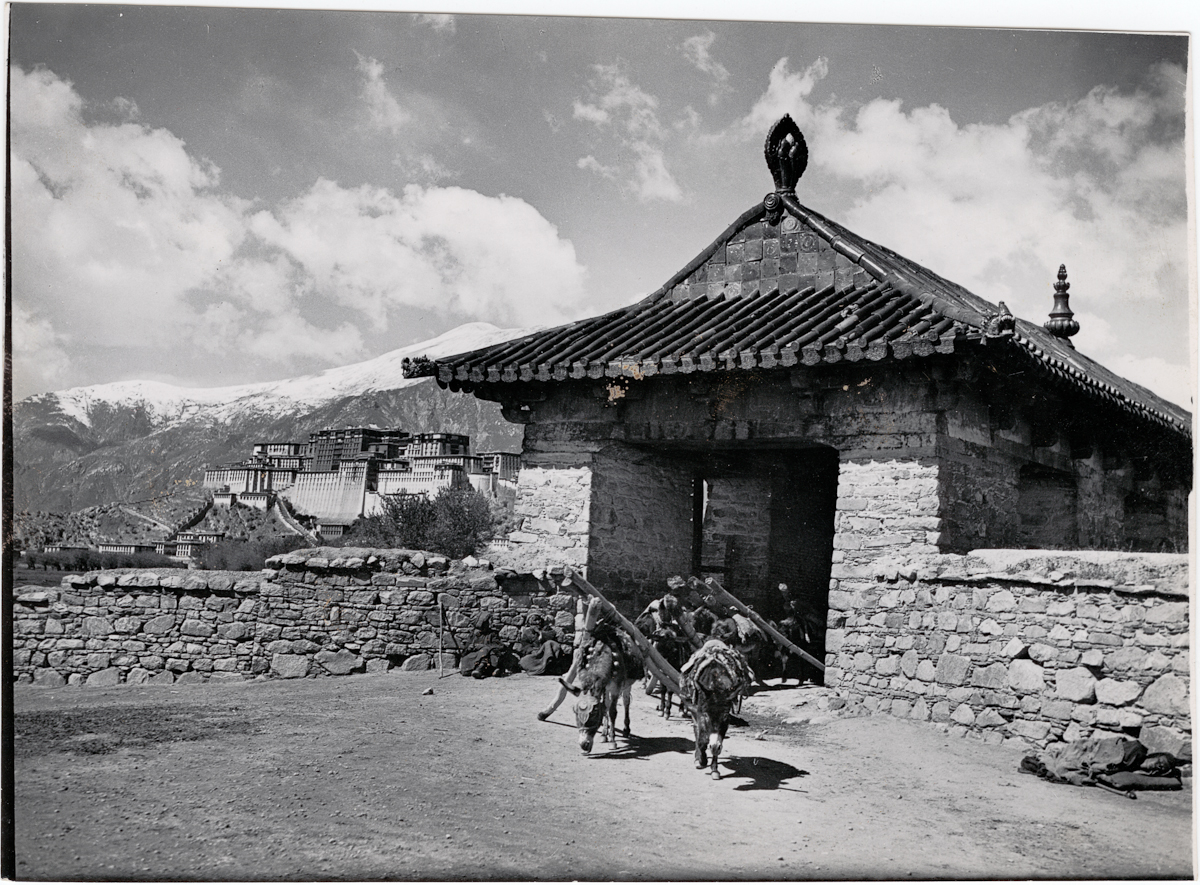 image no. 1998.131.271.1 view 6000 photos at the Tibet Album